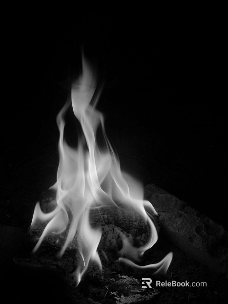 Black and white flame texture texture
