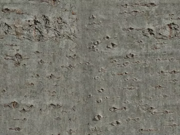 bark texture (ID:ffagh910236)