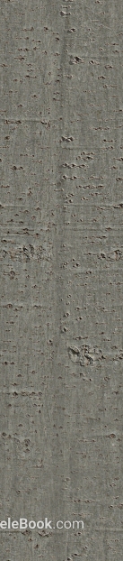 bark texture