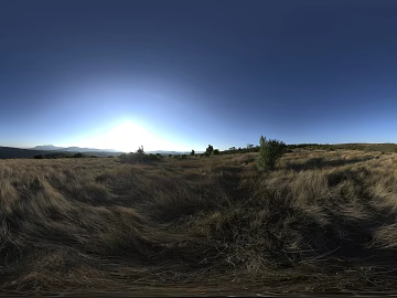 Outdoor Grass Day HDR Map texture (ID:ffabg18361)