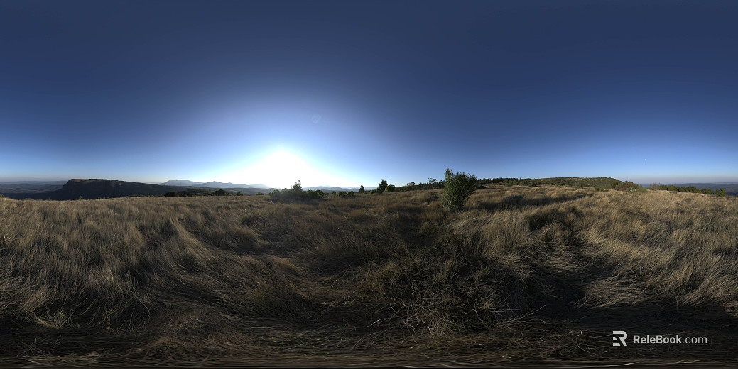 Outdoor Grass Day HDR Map texture