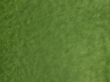 Lawn Grass Grass Green Grass Color texture (ID:ffach776774)