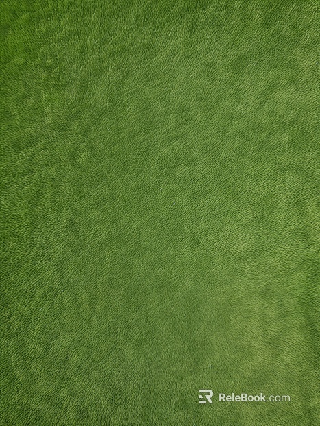 Lawn Grass Grass Green Grass Color texture