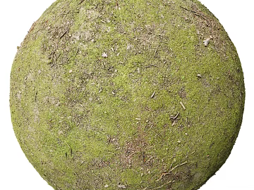 Grassland PBR texture (ID:ffach345481)