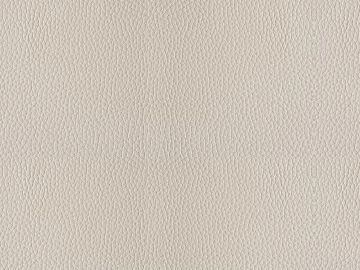 Coarse-grain leather texture (ID:ffagg42417)