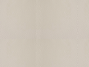 Coarse-grain leather texture (ID:ffagg42417)