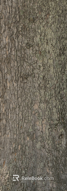 bark texture