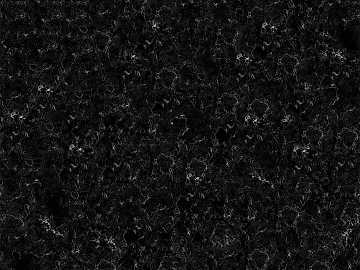 black bauer marble, black marble, black and white root marble, black marble rock slab texture (ID:ffaeh993982)