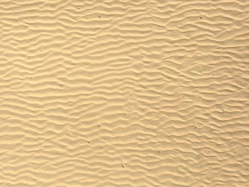 Beach texture (ID:ffacg92265)