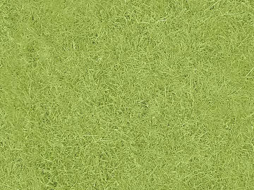 Turf texture (ID:ffach819446)