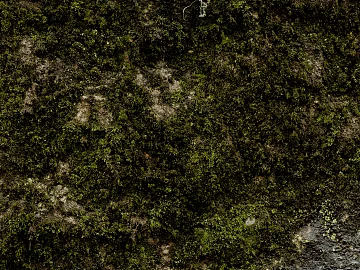 moss texture (ID:ffacg90786)