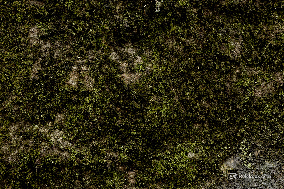 moss texture