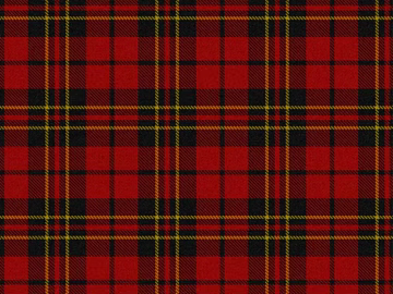 Plaid 3d model