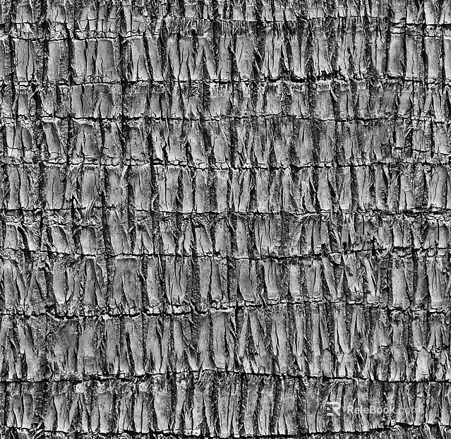 Black and White Bump texture