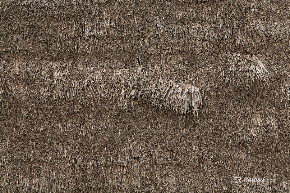 Thatched roof texture