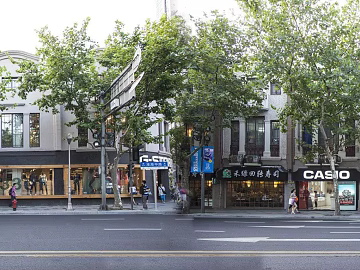 Street View 3d model