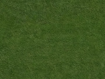 Turf texture (ID:ffacg63134)