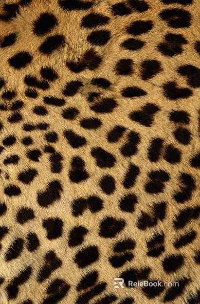Animal Blanket Carpet texture