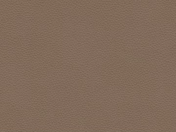 Coarse-grain leather 3d model