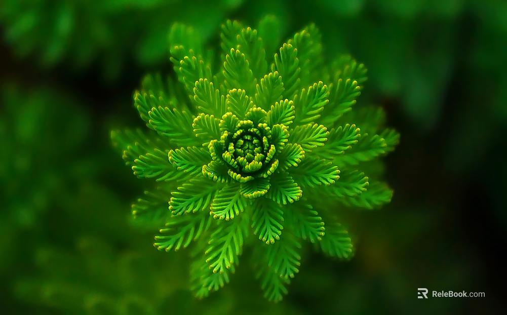 Green Plant Decorative Painting Map texture