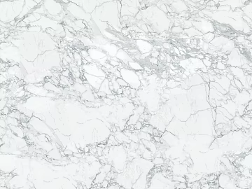 Mesh pattern marble big flower white aluminum-plastic board texture (ID:ffaeg17010)