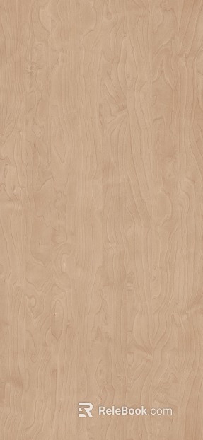 birch wood grain texture