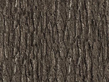bark texture (ID:ffabg52401)