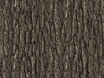 bark texture (ID:ffabg52401)