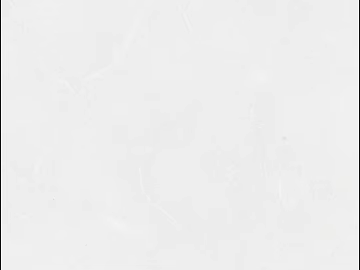 Plain Tile Pure White White Tile texture (ID:ffaef3365)