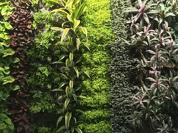 Plants texture (ID:ffajg87359)