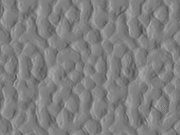 Gray Textured Paint Wall Coating 3d model