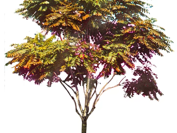 Plant painting texture (ID:ffajg92044)