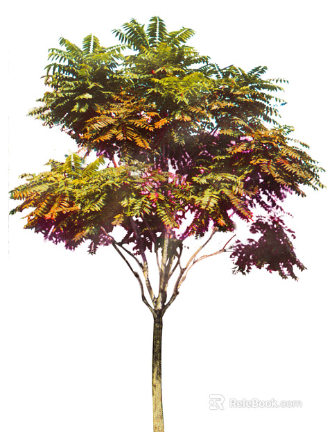 Plant painting texture