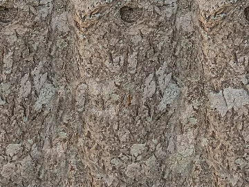 bark texture (ID:ffacg30830)