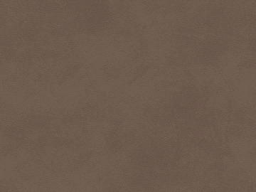 fine grain leather texture (ID:ffabg88398)