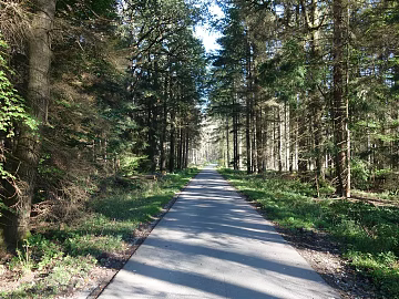 Wild Scenery texture (ID:ffaeg21603)