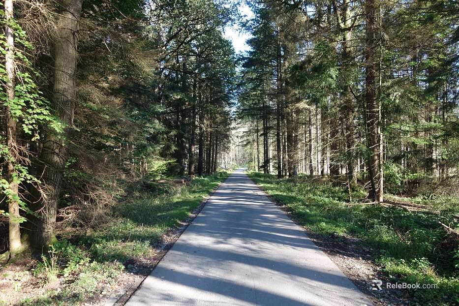 Wild Scenery texture