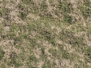 Turf ground texture (ID:ffabf5443)