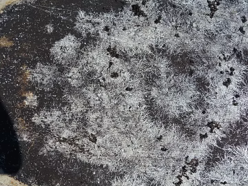 Outdoor wall surface texture (ID:ffaeg01013)