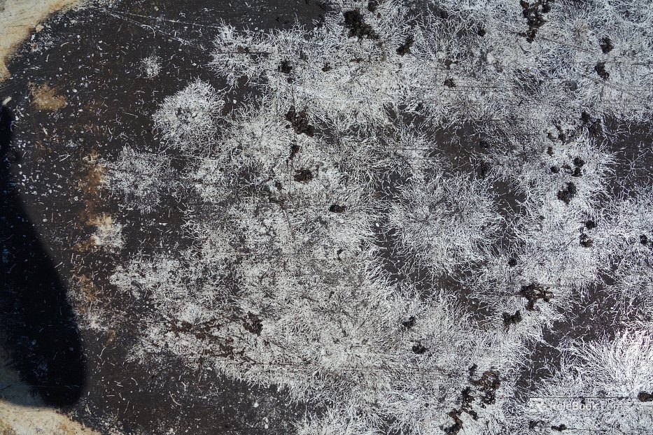 Outdoor wall surface texture