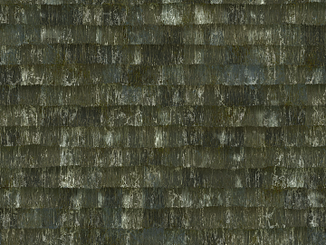 Thatched roof texture (ID:ffaag97747)