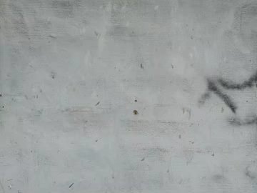 Cement wall cement ash wall texture (ID:ffagg67974)