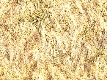 Turf texture (ID:ffaif4009)
