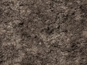 Mud texture (ID:ffach001116)