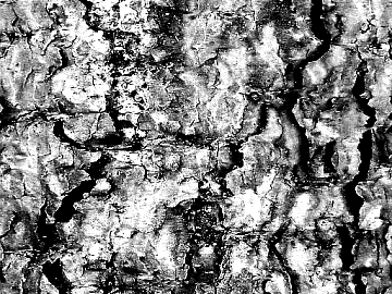 Black and White Bump texture (ID:ffaaf0333)