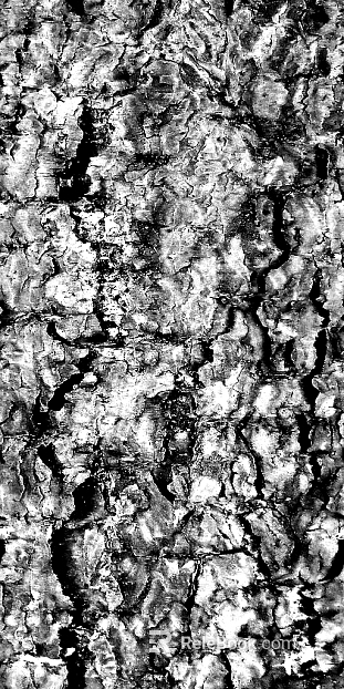Black and White Bump texture
