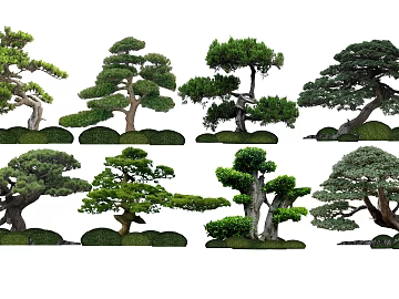 Tree texture (ID:ffacg95226)