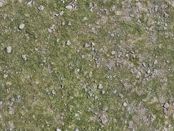 Turf ground texture (ID:ffabf6965)