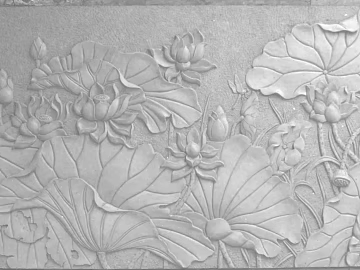 relief lotus black and white texture (ID:ffaeg22751)
