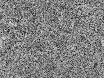 Cement floor texture (ID:ffabg58502)